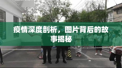 疫情深度剖析，图片背后的故事揭秘