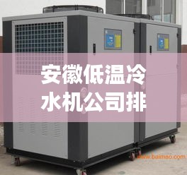 安徽低温冷水机公司排名大揭秘，专业评选，权威榜单！