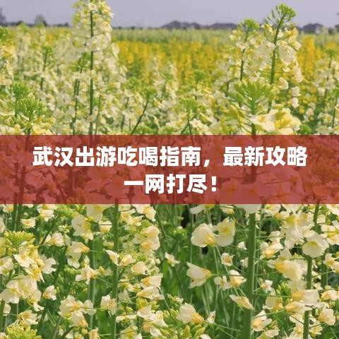 武汉出游吃喝指南，最新攻略一网打尽！