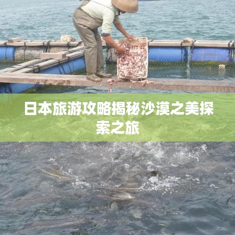 日本旅游攻略揭秘沙漠之美探索之旅