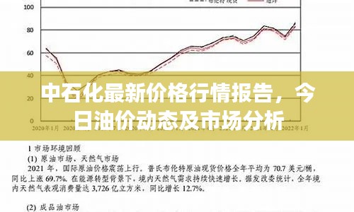 中石化最新价格行情报告，今日油价动态及市场分析