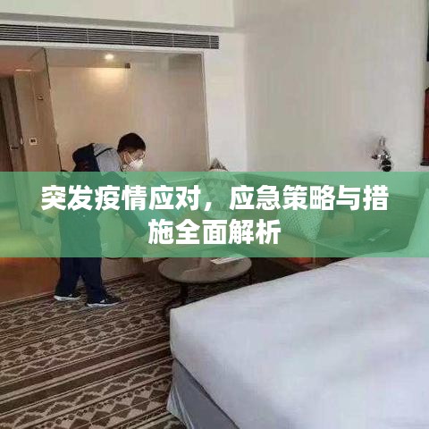 突发疫情应对，应急策略与措施全面解析