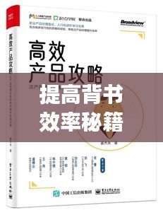提高背书效率秘籍，书籍推荐与高效策略分享