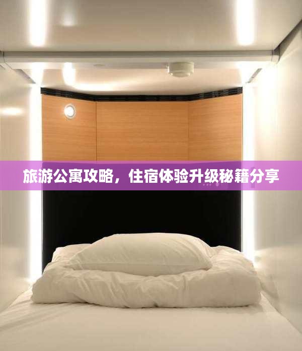 旅游公寓攻略，住宿体验升级秘籍分享