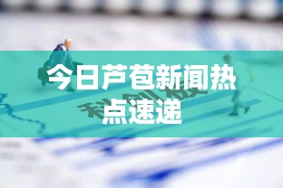 今日芦苞新闻热点速递