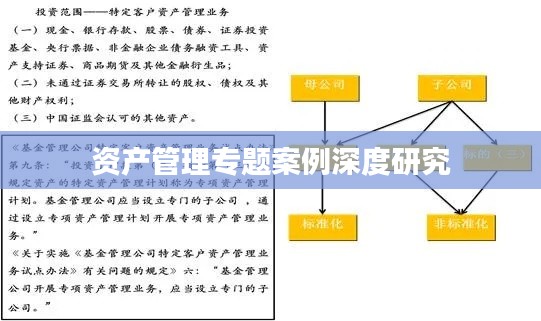 资产管理专题案例深度研究