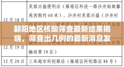 朝阳地区核酸筛查最新结果揭晓，筛查出几例的最新消息发布