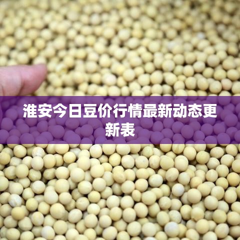 淮安今日豆价行情最新动态更新表