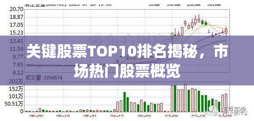 关键股票TOP10排名揭秘，市场热门股票概览