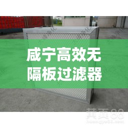 咸宁高效无隔板过滤器优势解析与应用领域探讨