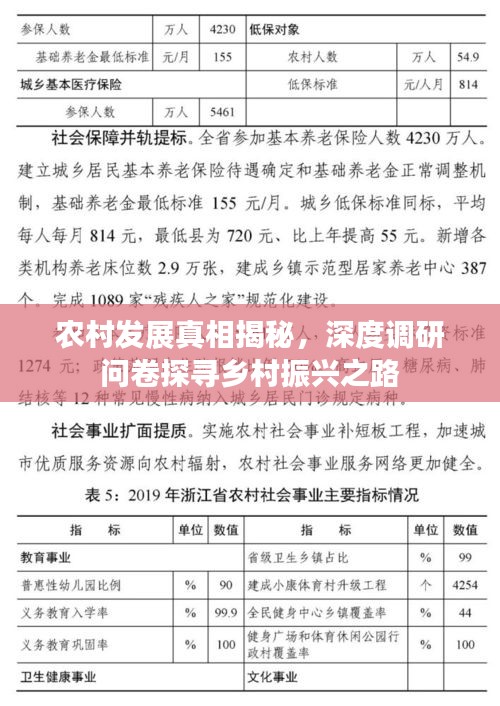 农村发展真相揭秘，深度调研问卷探寻乡村振兴之路