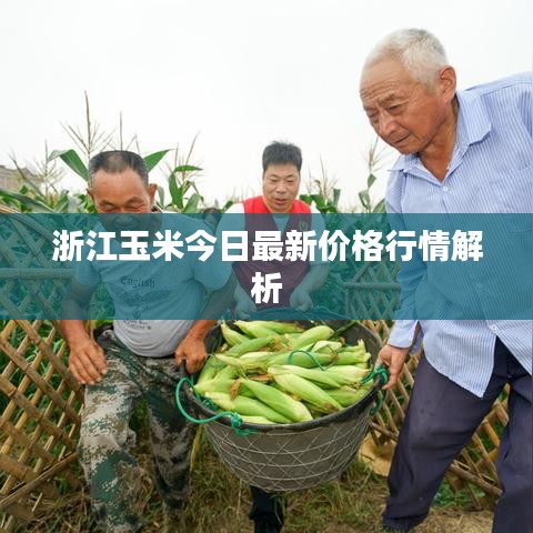 张灯挂彩 第2页