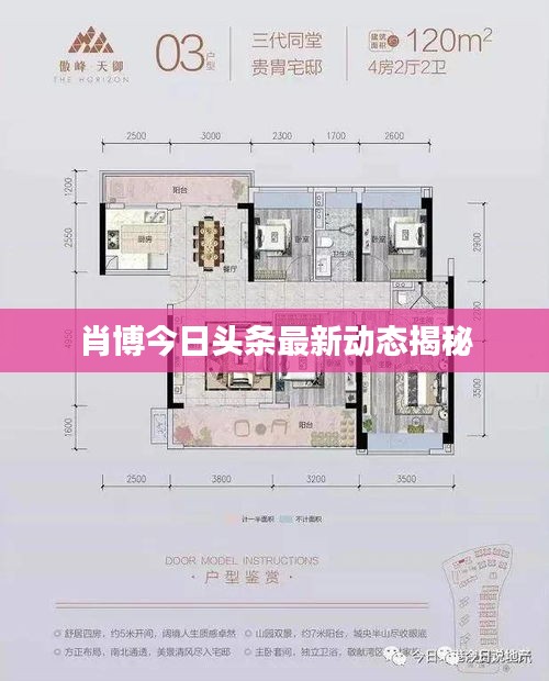 肖博今日头条最新动态揭秘