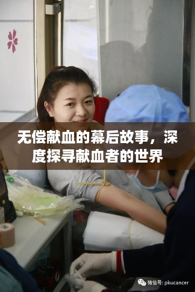 无偿献血的幕后故事，深度探寻献血者的世界