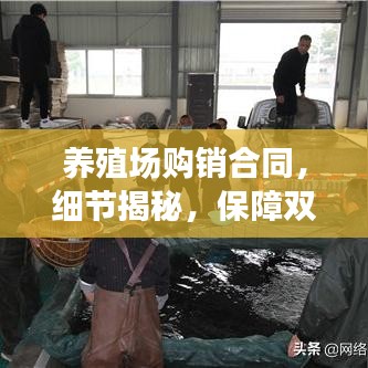养殖场购销合同，细节揭秘，保障双方权益！