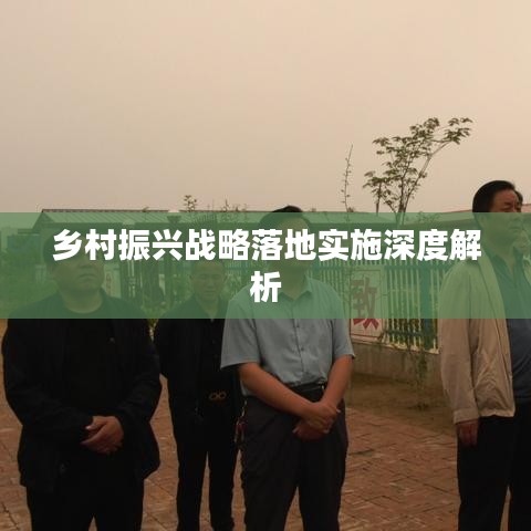 乡村振兴战略落地实施深度解析