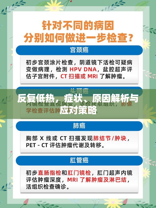 反复低热，症状、原因解析与应对策略