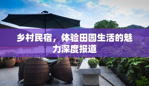 乡村民宿，体验田园生活的魅力深度报道