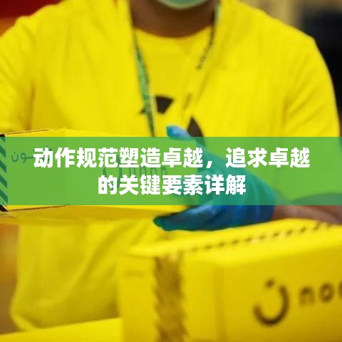 动作规范塑造卓越，追求卓越的关键要素详解
