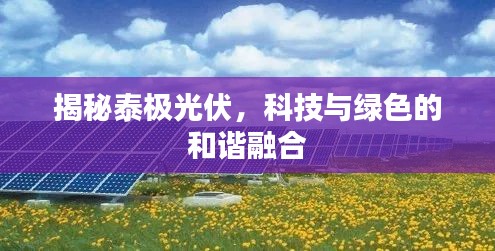揭秘泰极光伏，科技与绿色的和谐融合