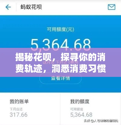 揭秘花呗，探寻你的消费轨迹，洞悉消费习惯！