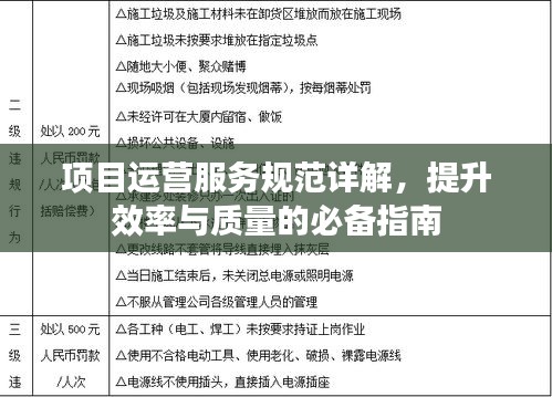 项目运营服务规范详解，提升效率与质量的必备指南