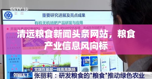 清远粮食新闻头条网站，粮食产业信息风向标