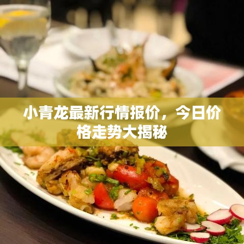 小青龙最新行情报价，今日价格走势大揭秘