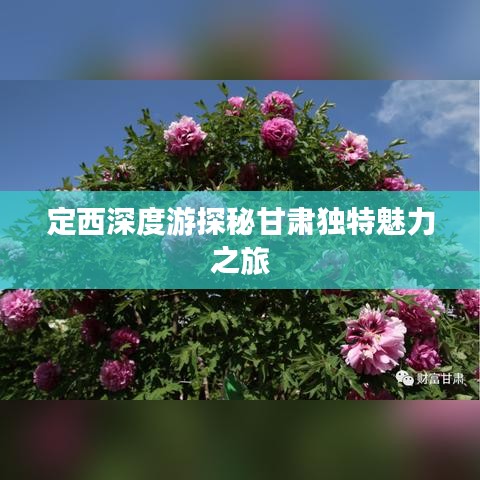 定西深度游探秘甘肃独特魅力之旅