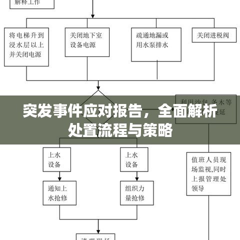 突发事件应对报告，全面解析处置流程与策略