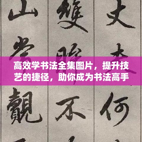 高效学书法全集图片，提升技艺的捷径，助你成为书法高手！