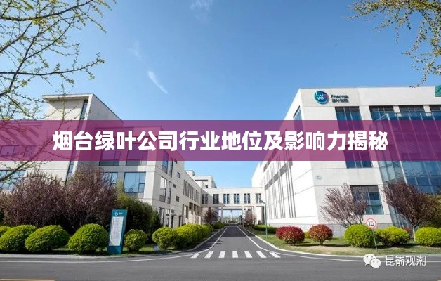 烟台绿叶公司行业地位及影响力揭秘
