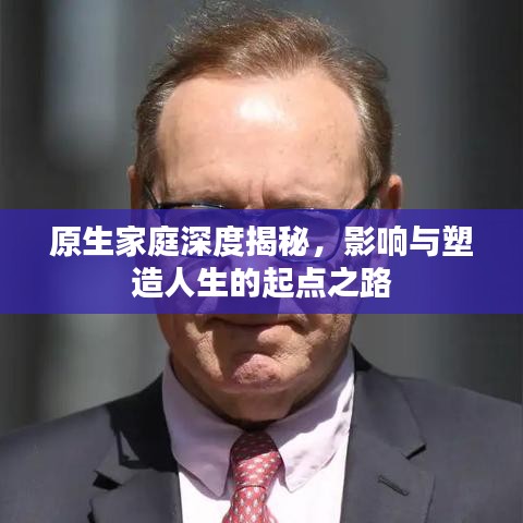 原生家庭深度揭秘，影响与塑造人生的起点之路