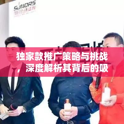 独家款推广策略与挑战，深度解析其背后的吸引力与难题