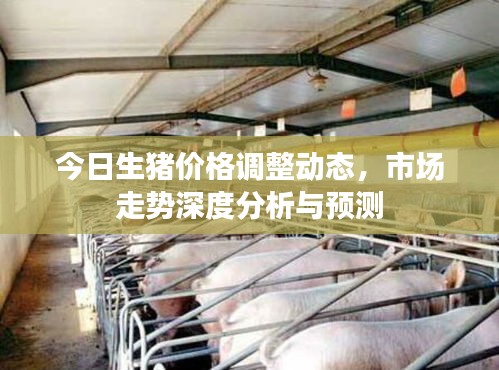 今日生猪价格调整动态，市场走势深度分析与预测