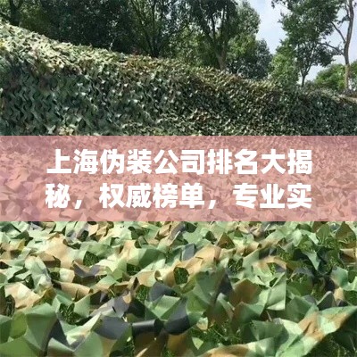上海伪装公司排名大揭秘，权威榜单，专业实力一网打尽！