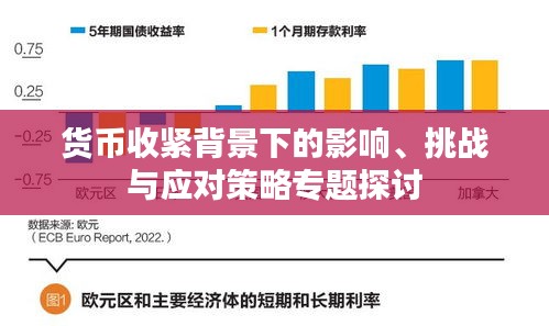 货币收紧背景下的影响、挑战与应对策略专题探讨