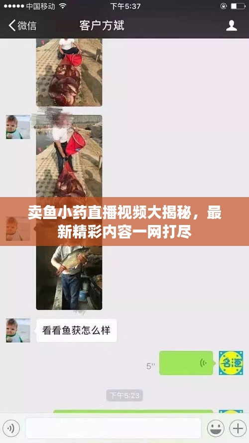 卖鱼小药直播视频大揭秘，最新精彩内容一网打尽