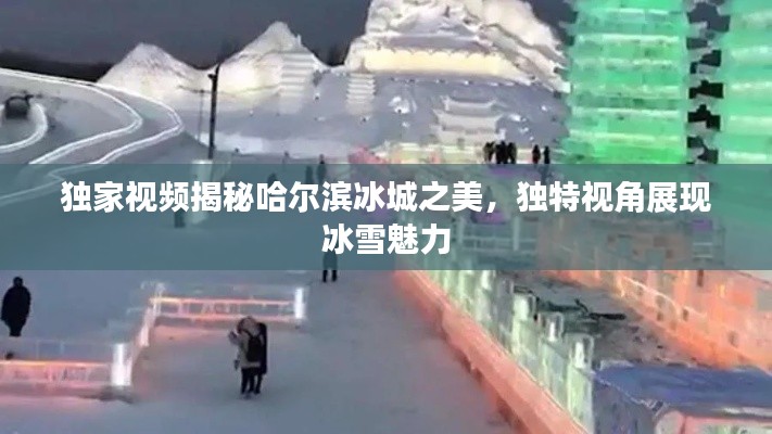 独家视频揭秘哈尔滨冰城之美，独特视角展现冰雪魅力
