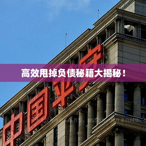 高效甩掉负债秘籍大揭秘！