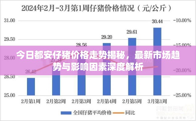 今日都安仔猪价格走势揭秘，最新市场趋势与影响因素深度解析