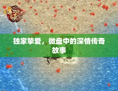 独家挚爱，微盘中的深情传奇故事