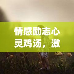 情感励志心灵鸡汤，激励人心的文字语录汇总