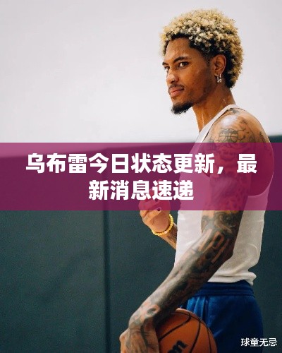 鸟为食亡 第2页