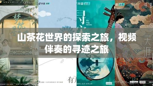 山茶花世界的探索之旅，视频伴奏的寻迹之旅