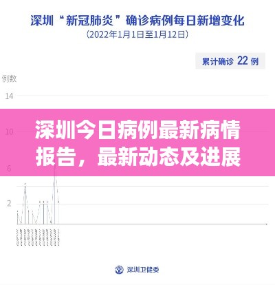 深圳今日病例最新病情报告，最新动态及进展