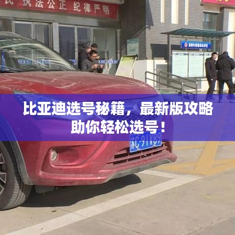 比亚迪选号秘籍，最新版攻略助你轻松选号！