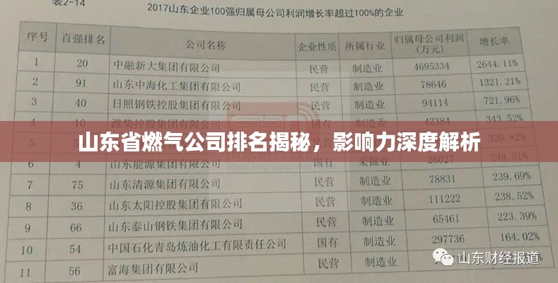 山东省燃气公司排名揭秘，影响力深度解析