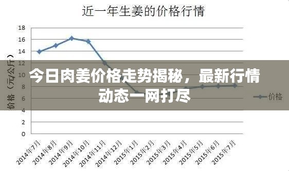 今日肉姜价格走势揭秘，最新行情动态一网打尽