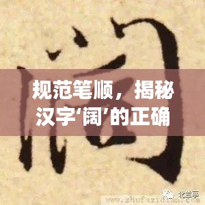 规范笔顺，揭秘汉字‘阔’的正确书写顺序